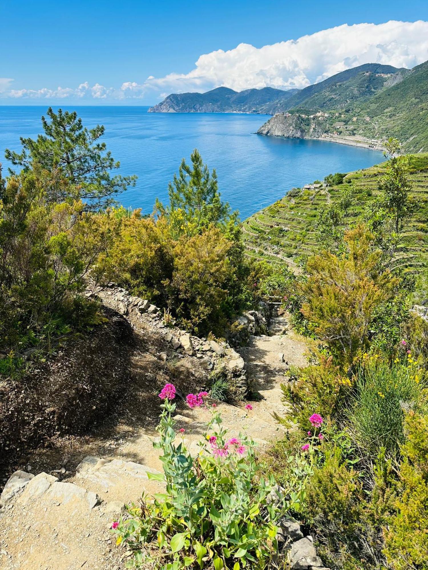 Al Castello Apartment Riomaggiore Bagian luar foto